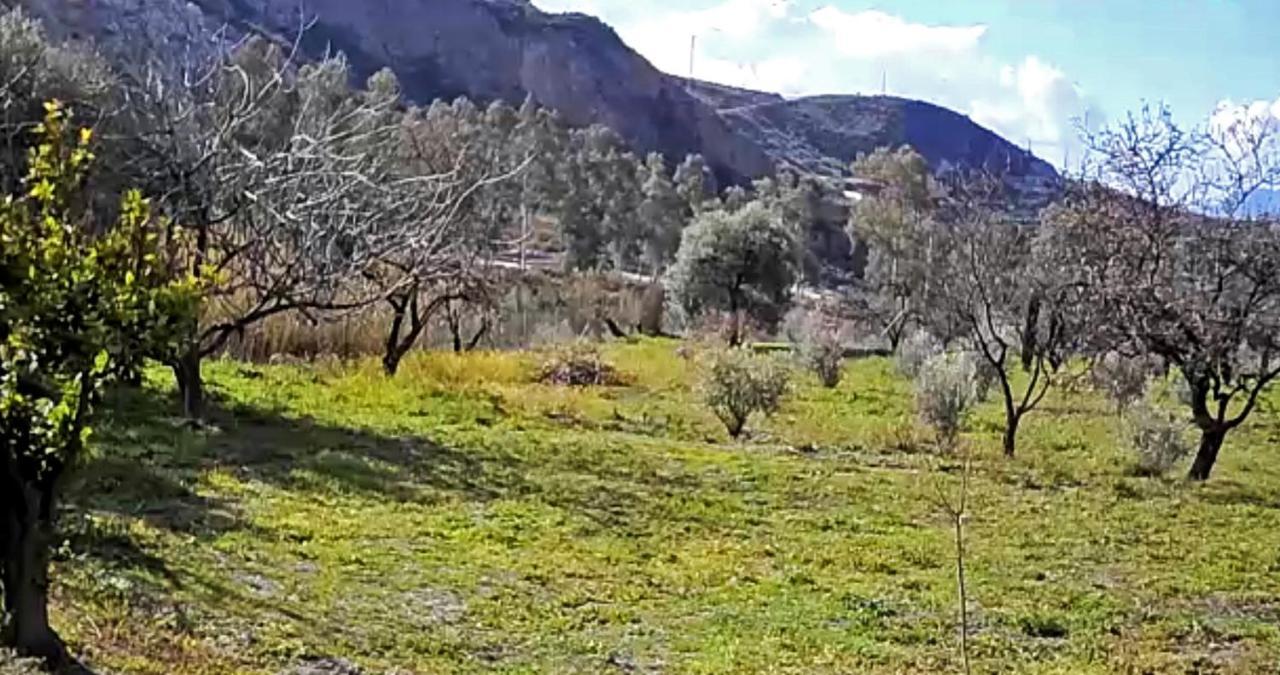 הוילה Bayacas Cortijo Aguacha מראה חיצוני תמונה