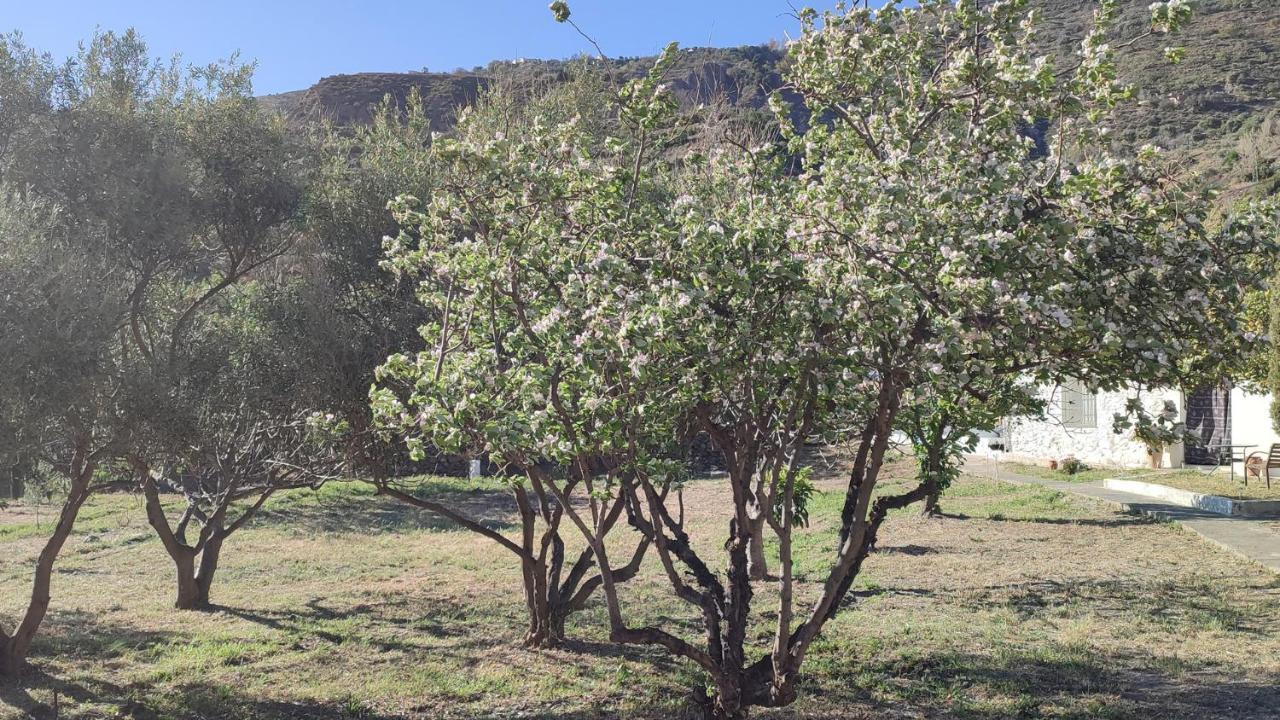 הוילה Bayacas Cortijo Aguacha מראה חיצוני תמונה